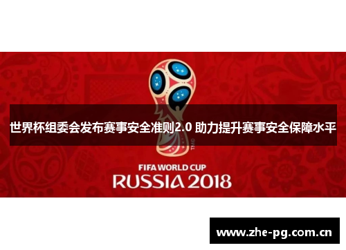 世界杯组委会发布赛事安全准则2.0 助力提升赛事安全保障水平 世界杯组委会发布赛事安全准则2.0 助力提升赛事安全保障水平